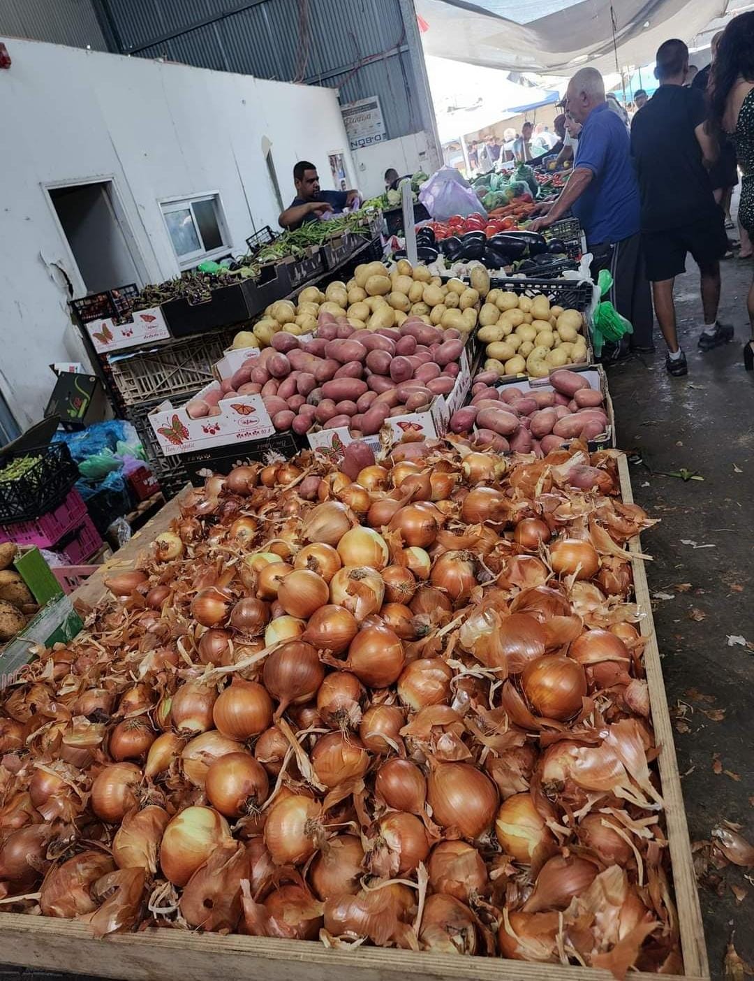 WhatsApp Image 2023-11-09 at 19.53.03.jpeg